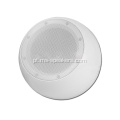 8 watts eleglish hi-fi penduring ball PA alto-falante